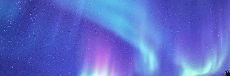 Profile banner